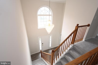 3005 Elsa Ave, Waldorf, MD 20603 - photo 5