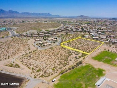 20240717171600530888000000-o