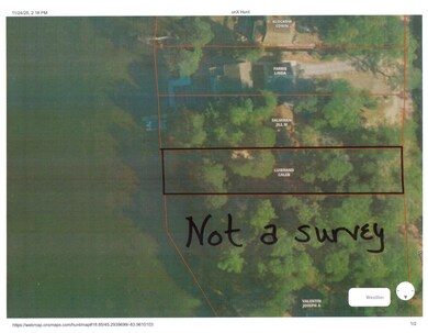 V/L 0.25AC Lost Lake Rd, Bismarck Township, MI 49743 - photo 5