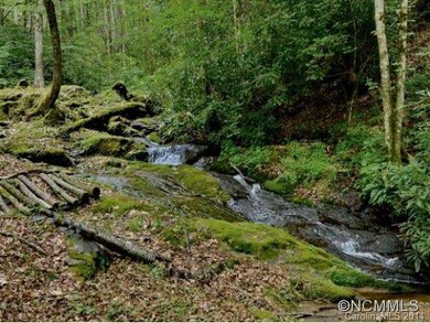 Wolfe Creek below home