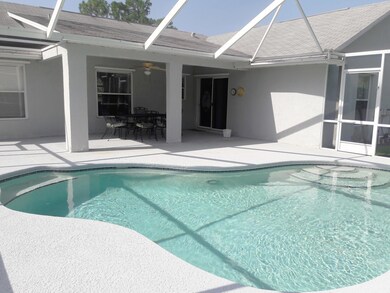 Pool & Patio