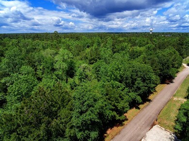 LOTS 21 & 22 Sweet Bay Cir, Magnolia, TX 77354 - photo 3