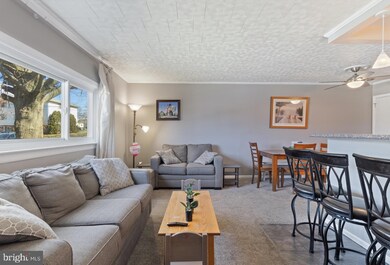 605 Turf Ln, Conshohocken, PA 19428 - photo 5