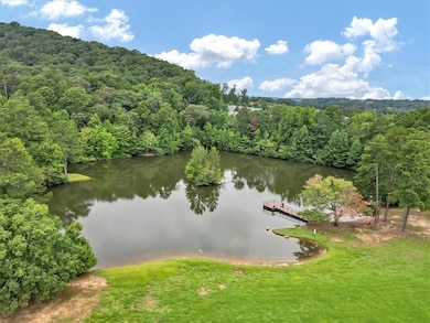 Water view with a forest