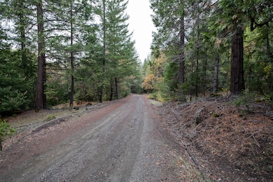 170 Justice Rd, Zenia, CA 95595 - photo 4