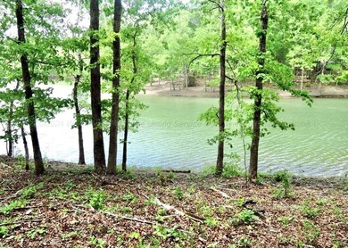0 Shoreside Dr, Double Springs, AL 35553 - photo 3