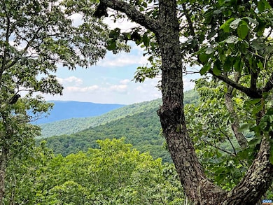 66 Brimstone Dr, Wintergreen Resort, VA 22967 - photo 3