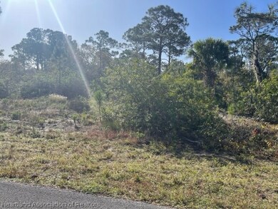 239 Jack Weisser Blvd, Lake Placid, FL 33852 - photo 3