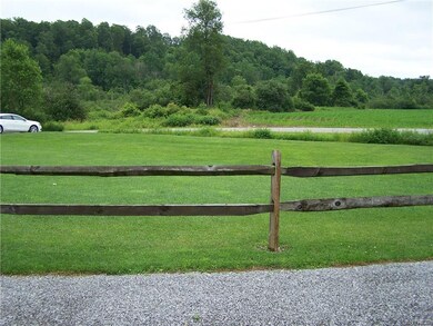 Front Lawn