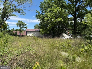 LT 19 E 2nd St, Blue Ridge, GA 30513 - photo 2