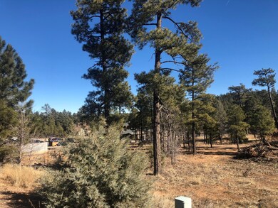 Tract D S White Mountain Rd, Show Low, AZ 85901 - photo 5