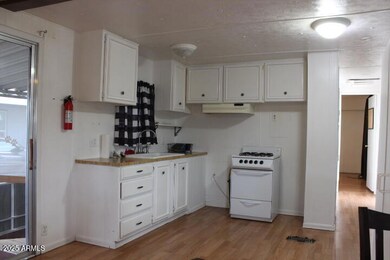 303 S Recker Rd, Mesa, AZ 85206 - photo 6