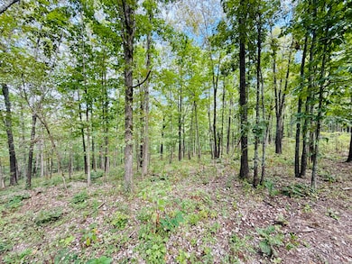 834 Lock 3 Rd, Batesville, AR 72501 - photo 6