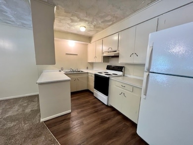 2011 Helen St, Fayetteville, AR 72701 - photo 5