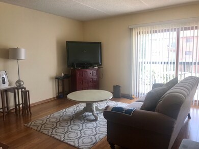 1227 Brown St unit 202, Des Plaines, IL 60016 - photo 3