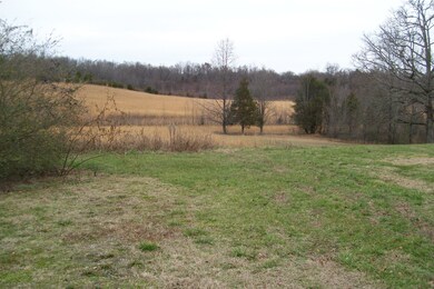 1989 Copenhaver Rd, Rock Island, TN 38581 - photo 2