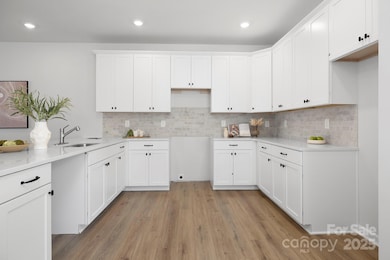 2535 Ruby Dixon Crossing Dr unit 19, Gastonia, NC 28056 - photo 4