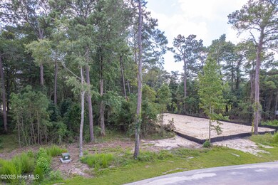 6077 Ocean Isle Palms Way-3