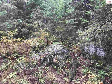 68 Riverview Cir, Sandpoint, ID 83864 - photo 5