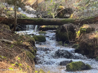 NNA Upper Manley Creek Rd 20 Acres, Laclede, ID 83841 - photo 2