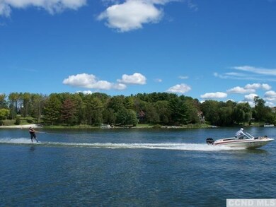 1837 Sleepy Hollow Rd, Athens, NY 12015 - photo 5