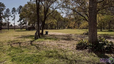 39423 Bon Terre Dr, Gonzales, LA 70737 - photo 5