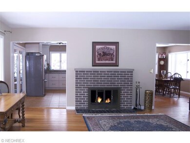 Living Room fireplace.