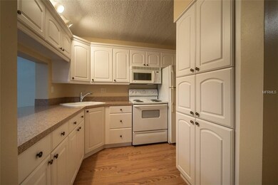 Updated raised panel cabinets with white appliance