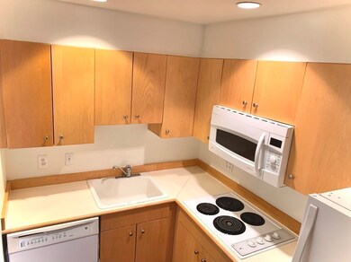 131 Tremont St unit 6C, Boston, MA 02111 - photo 7