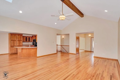 19612 Waterford Ln, Mokena, IL 60448 - photo 5