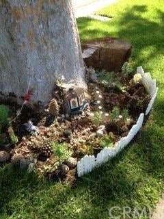 Each Chinese Elm has a custom Fairy Garden....lovi