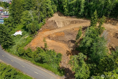 0 X Willapa Ave, South Bend, WA 98586 - photo 7