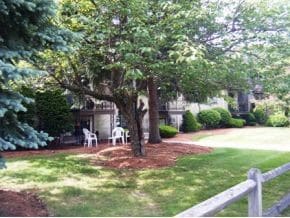 Grounds