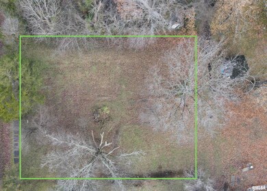 432 N Seba St, Hurst, IL 62949 - photo 5