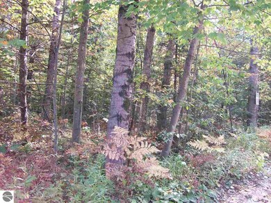 0 Lula Ln unit 52-55 1855604, Alger, MI 48756 - photo 4