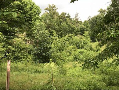 LOT 1 Blake Rd, Greeneville, TN 37743 - photo 5