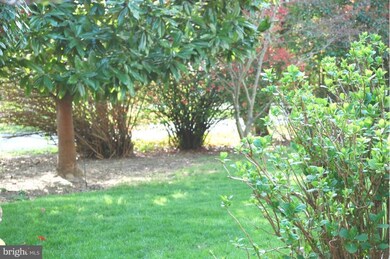 7200 Maryland Ave, Queenstown, MD 21658 - photo 4