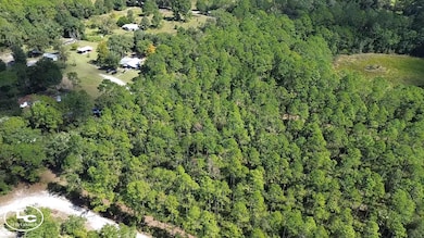 0 NE 212th Street Rd unit 25508545, Fort McCoy, FL 32134 - photo 2