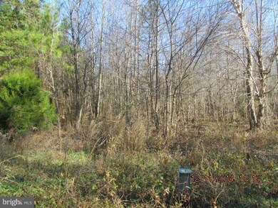 0 Mcduff Rd unit 1003284534, Caroline, VA 22546 - photo 5