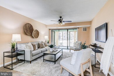 5236 W Running Brook Rd unit U101, Columbia, MD 21044 - photo 3