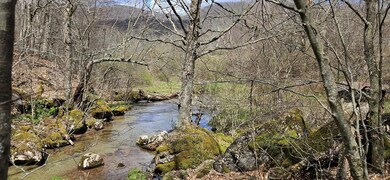 38162 Seneca Trail, Slatyfork, WV 26291 - photo 5