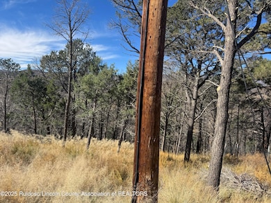 - Pine Shadow Trail, Ruidoso, NM 88345 - photo 2