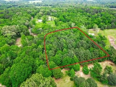 TBD Giraffe Rd, Gilmer, TX 75644 - photo 5