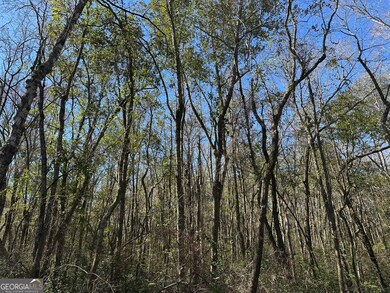 0 Mt Sinai Church Rd unit 10555546, Butler, GA 31006 - photo 5