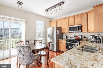 42837 Sykes Terrace, Chantilly, VA 20152 - photo 5