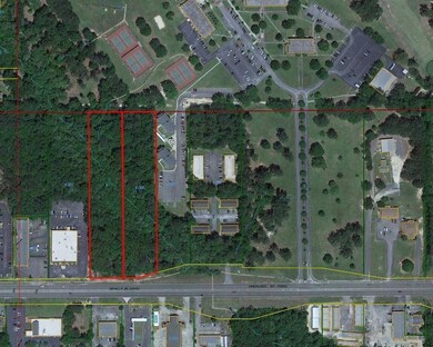 00 Martin Luther King Junior Expy, Carolina, AL 36420 - photo 4