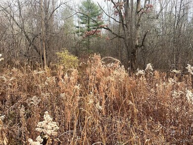 0 County Road 15 unit S1651526, Granger, NY 14735 - photo 3