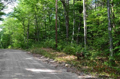 Lot 7 Bickford Rd unit 7, Wolfeboro, NH 03894 - photo 7