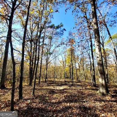 0 Mckibben Rd unit 10623982, Buchanan, GA 30113 - photo 5