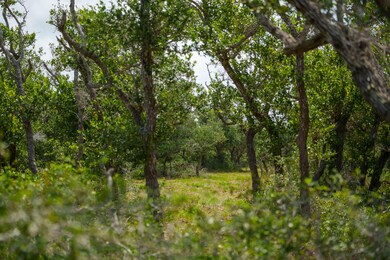 704 Highway 35 S, Rockport, TX 78382 - photo 7